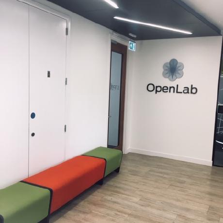modern office reception area featuring a professionally painted white wall with OpenLab 3D signage and branding. The space includes a minimalist white door, a black suspended ceiling with integrated linear LED lighting, and light wood flooring, showcasing high-quality commercial finishing